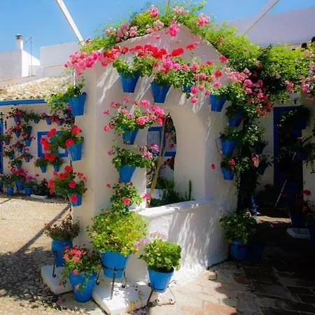 Apartment Piso Con Solarium Calahorra Con Solera Parking Privado Gratis Cordoba